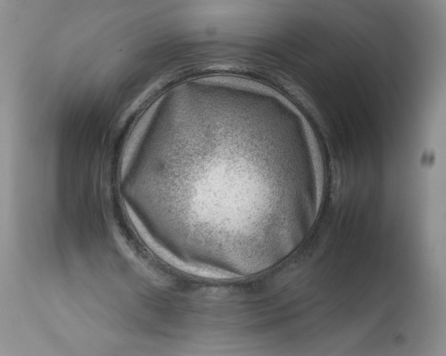 X0000112810482200909111303