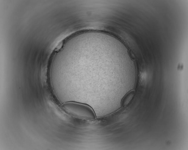 X0000112810484200909111303