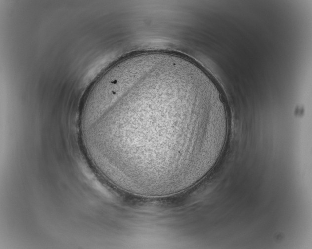 X0000112810485200909111303