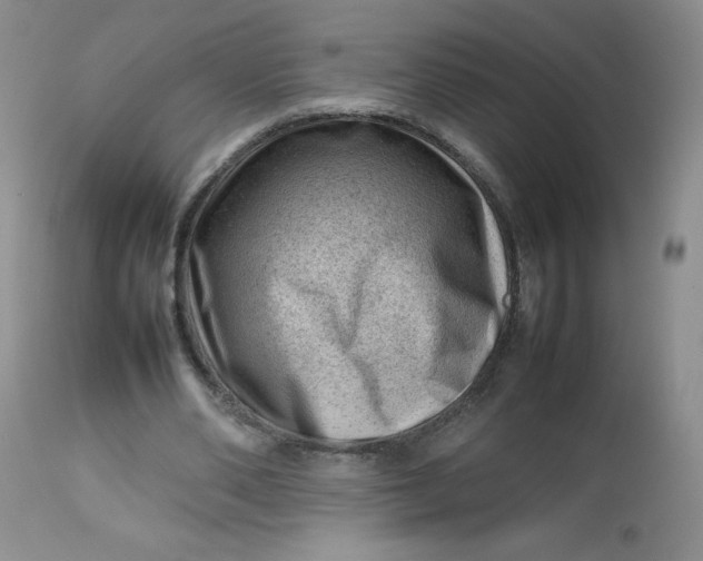 X0000112810486200909111303