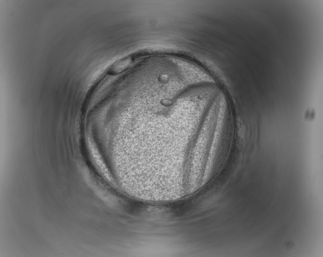 X0000112810487200909111303