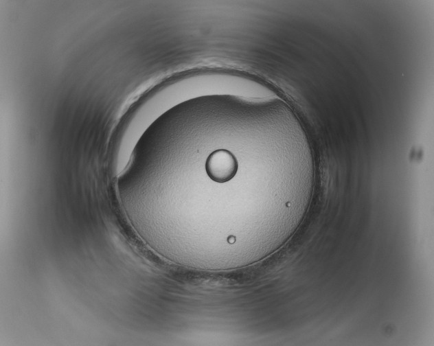 X0000112810488200909111303