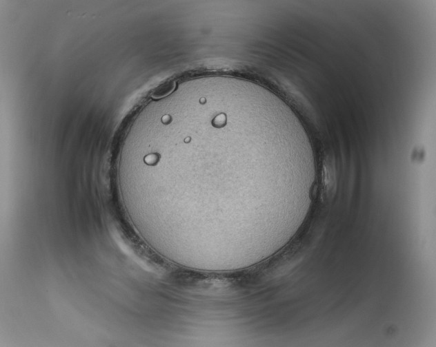 X0000112810492200909111302