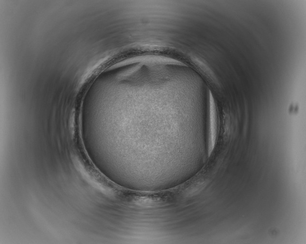 X0000112810494200909111302