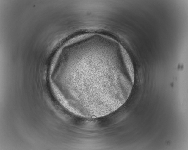 X0000112810495200909111302