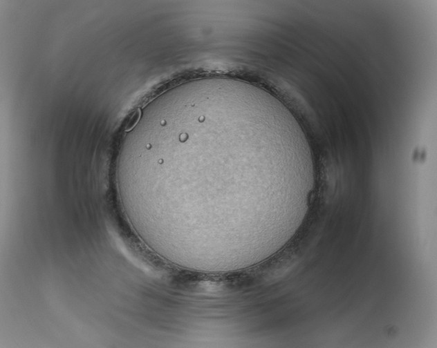 X0000112810496200909111302