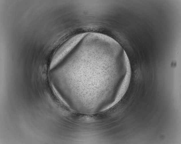 X0000112810498200909111302