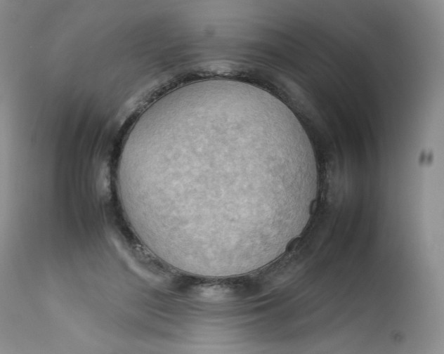 X0000112810500200909111302