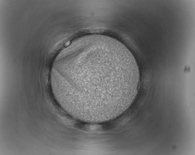 X0000112810501200909111302