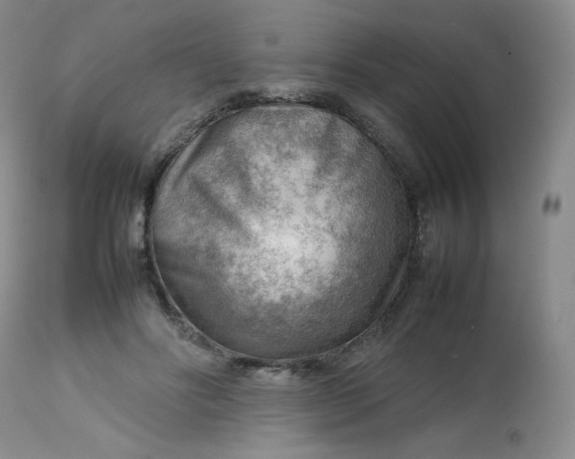 X0000112810502200909111302