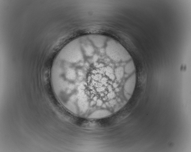 X0000112810503200909111302