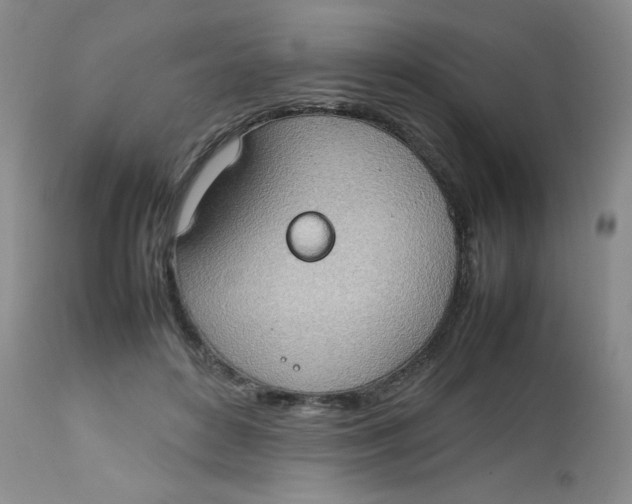 X0000112810504200909111302