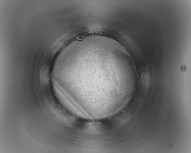 X0000112810508200909111302