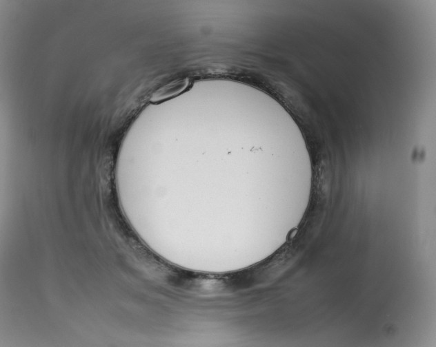 X0000112810509200909111302