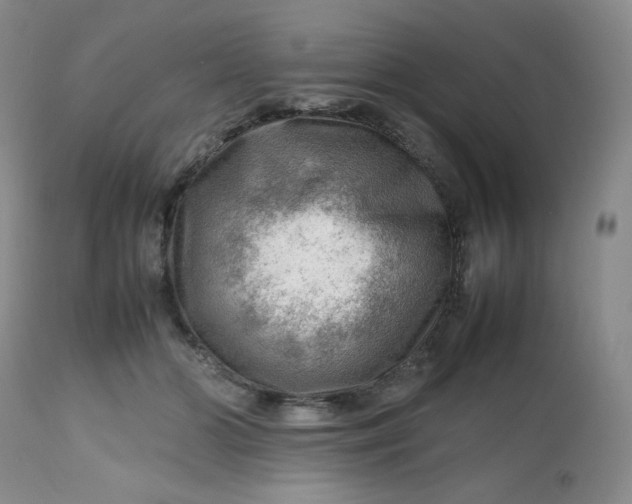 X0000112810510200909111302