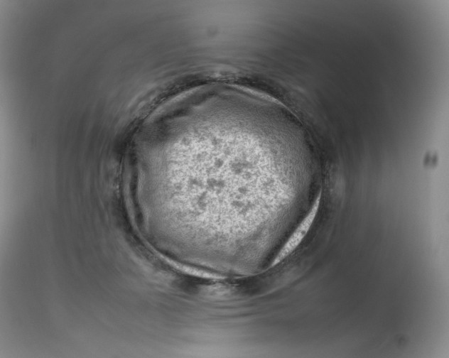 X0000112810511200909111302