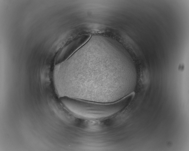 X0000112810512200909111302