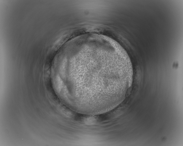 X0000112810513200909111302