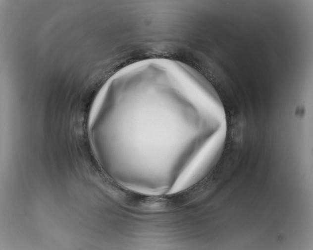 X0000112810514200909111302