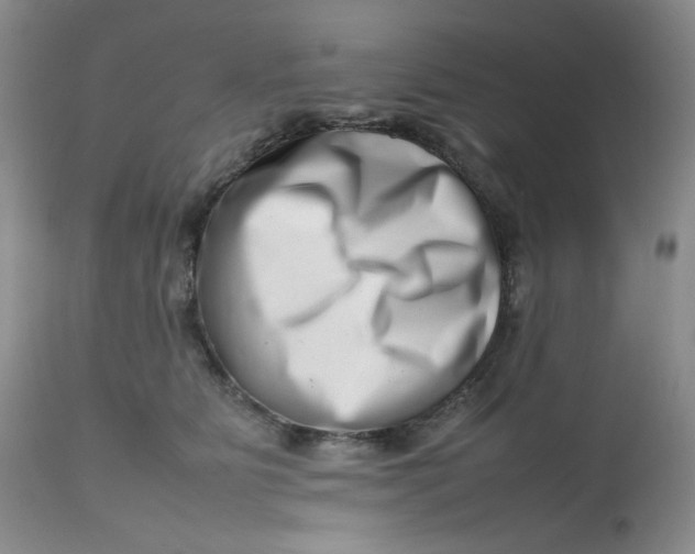 X0000112810515200909111302