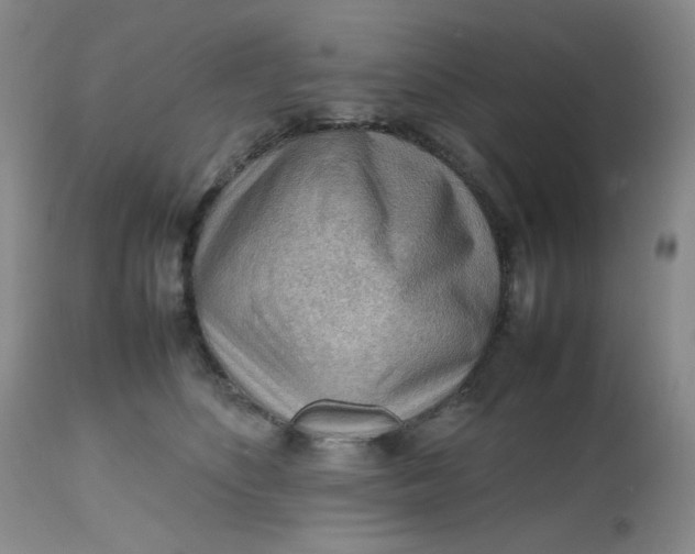 X0000112810516200909111302