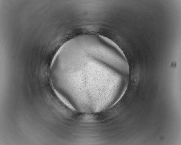 X0000112810518200909111302