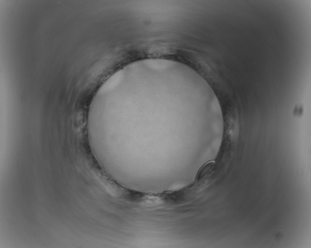 X0000112810519200909111302