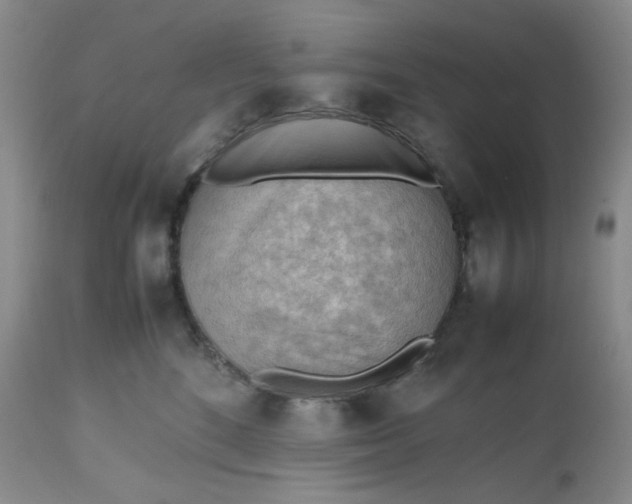 X0000112810520200909111302