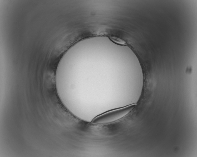 X0000112810521200909111302