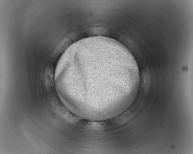 X0000112810522200909111302