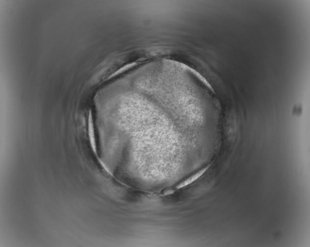 X0000112810523200909111302