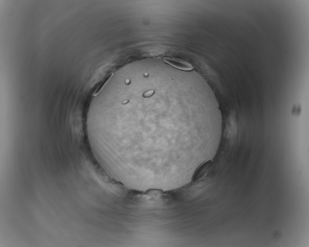 X0000112810524200909111302