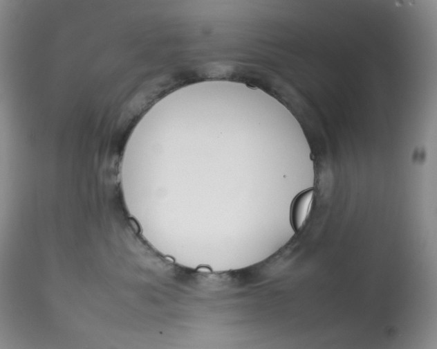 X0000112810525200909111302