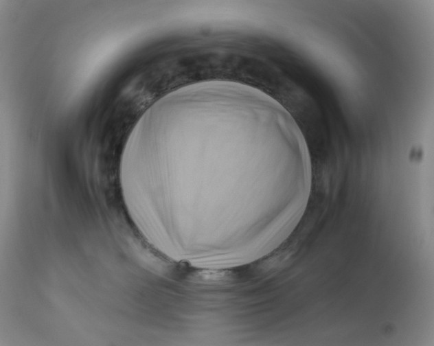 X0000112810526200909111302