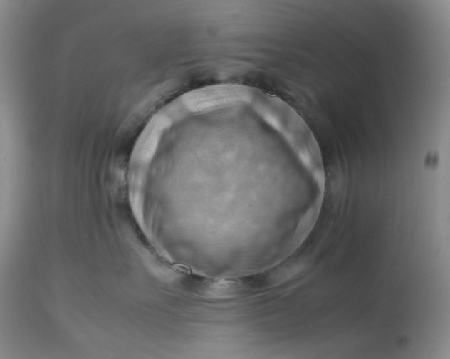 X0000112810527200909111302