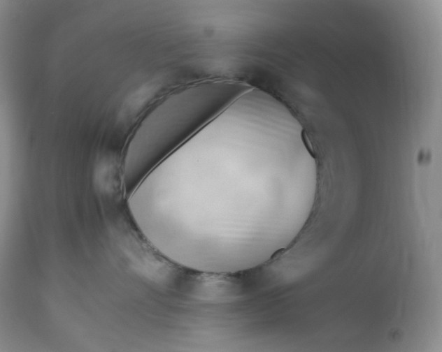 X0000112810528200909111302