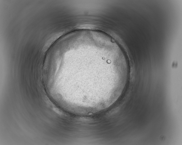 X0000112810529200909111301