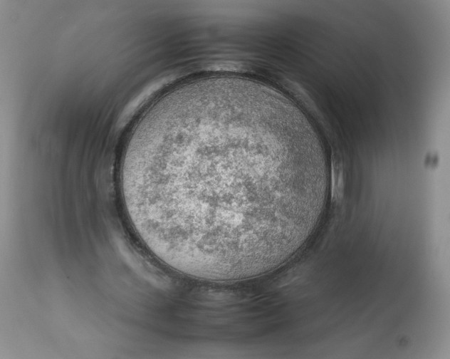 X0000112810531200909111301