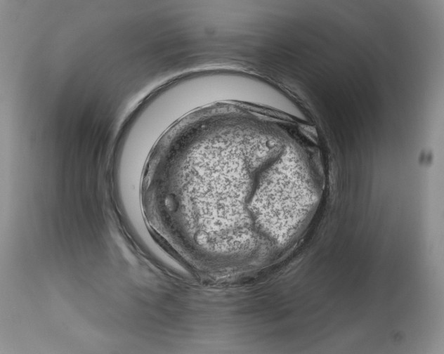 X0000112810532200909111301