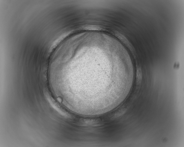 X0000112810533200909111301