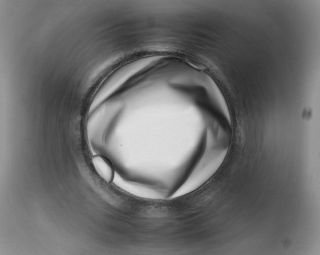 X0000112810535200909111301