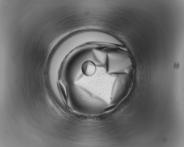 X0000112810536200909111301