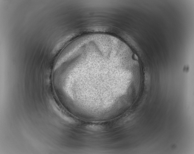 X0000112810537200909111301