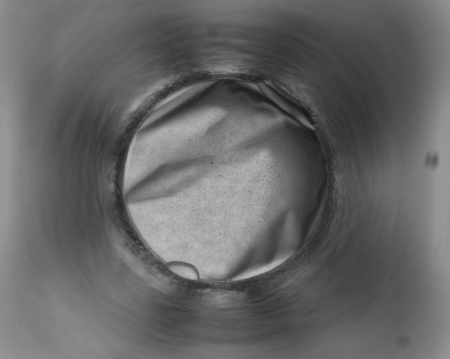 X0000112810539200909111301