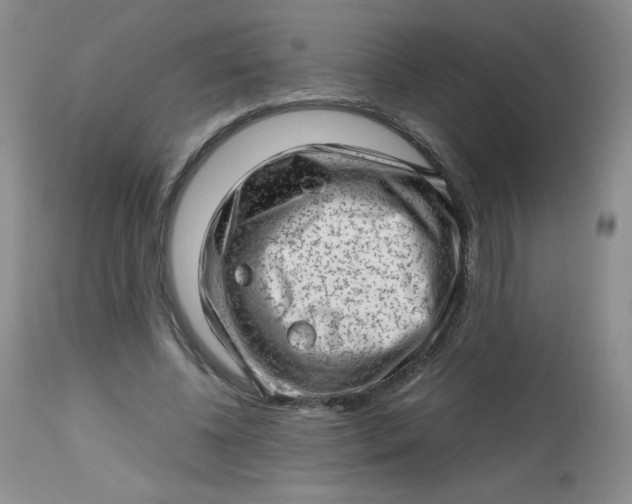 X0000112810540200909111301