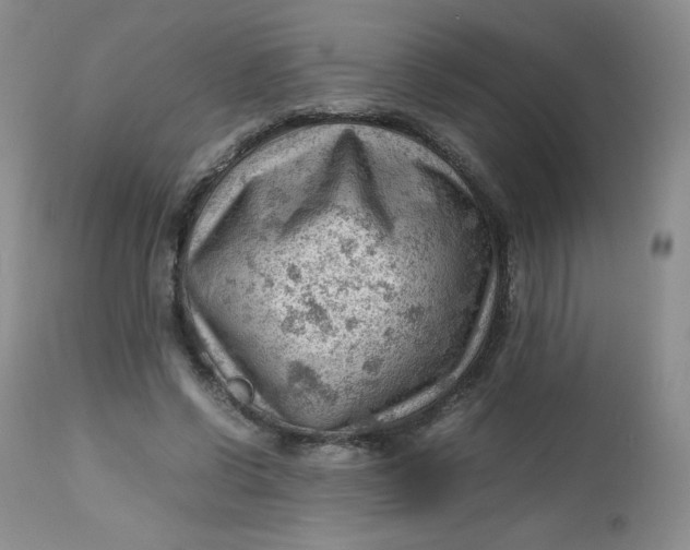 X0000112810542200909111302