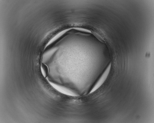 X0000112810543200909111302