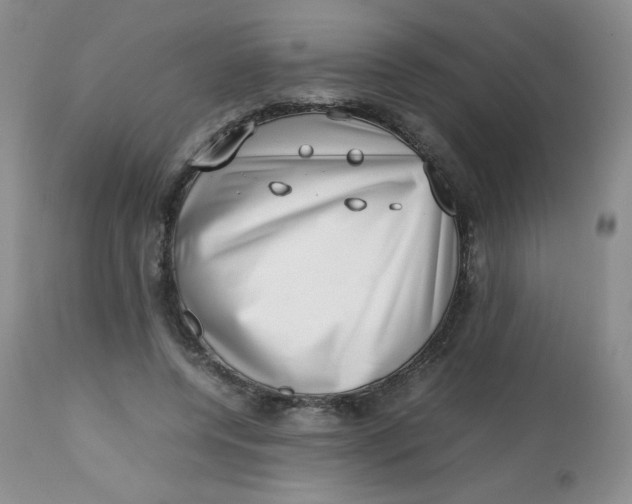 X0000112810544200909111302