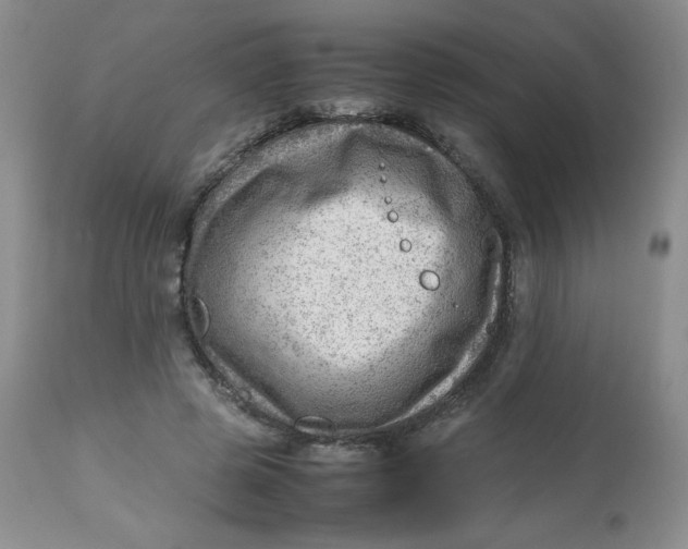 X0000112810545200909111302