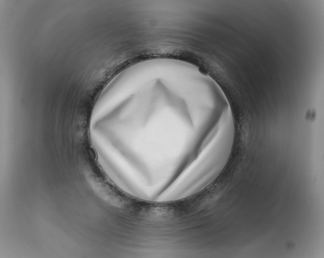 X0000112810546200909111302